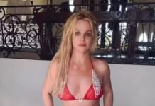 Бритни Спирс лаяла, ходила с ножом и курила в ресторане