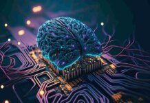 Розвідка Five Eyes попереджає про появу ШІ для руйнівних кібератак уже за кілька місяців