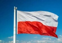 Польща інвестує понад 650 млн євро в європейську супутникову систему IRIS2