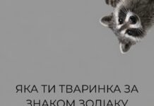 Кот, змея или милый кролик: на какое животное вы похожи по гороскопу?