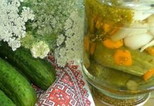 Самые вкусные огурчики на зиму: как заготовить их по-польски (РЕЦЕПТ)