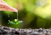 Осознание приходит с возрастом: простая истина о жизни, которую нужно понять каждому до 30 лет