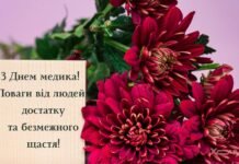 Спасибо за ваш неутомимый труд и сохранившиеся жизни: яркие поздравительные картинки с Днем медика