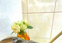 Забудьте о духовке: как приготовить роскошный торт “Пьяная вишня” на обычной сковороде за 20 минут (РЕЦЕПТ)