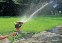 Потеряют вкус и не будут храниться: сколько воды на самом деле нужно овощным культурам летом