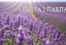 Готовые поздравления для друзей и близких: как красиво и душевно поздравить с Днем Петра и Павла