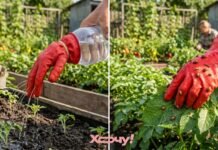 До такого вы даже не додумались бы: 3 практичных лайфхака со старыми резиновыми перчатками, о которых вы не знали