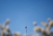 США вимагають від країн обрати сторону в гонці ШІ з Китаєм – Reuters