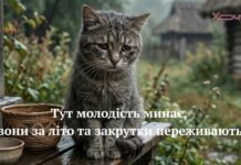 День молодежи 2026: шутки, мемы и анекдоты, которые близки каждому