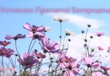 Защиты, мира и согласия в каждый дом: красивые открытки и поздравления с Первой Пречистой