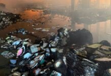 Росія б’є по книжковій галузі України: які видавництва та друкарні постраждали цього літа