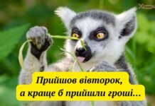 “Не драматизируй, это всего лишь вторник”: лучшие приколы и жизненные мемы о тяжелых рабочих буднях