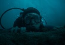 “Падіння кита”: вийшов трейлер напруженого трилера про виживання