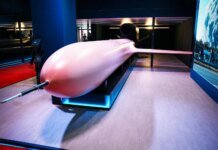 “Фламінго”, RAM-2X і “Корал”: що побачили гості оборонної виставки MSPO у Польщі – фото