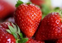 Ягоды будут гигантскими: когда и как пересаживать клубнику осенью