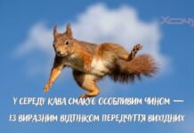 Маленькая пятница или тяжелый экватор: забавные приколы о среде, которые заставят улыбнуться даже самым печальным