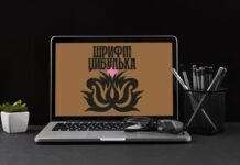 “Цибулька”: українська дизайнерка створила шрифт у стилі петриківського розпису
