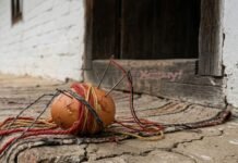 Курица потеряла или подклад на нищету: что делать, если нашли куриное яйцо возле дома