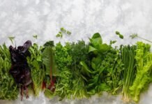 Чем залить зелень, чтобы сохранить вкус во всю зиму: хитрый способ