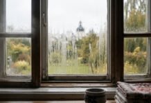 Копеечный способ вместо дорогих осушителей: что нужно поставить на подоконник против запотевания окон